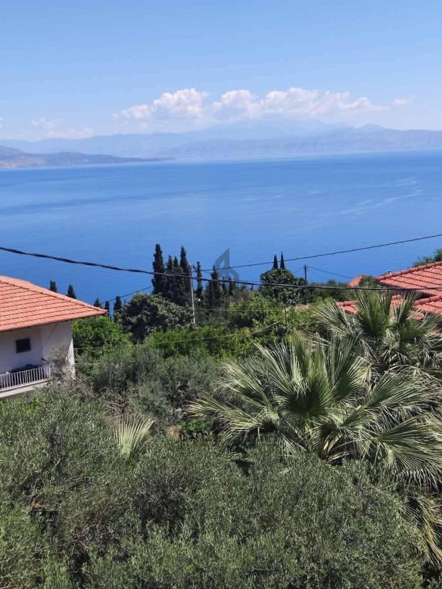 Άνω Πλάτανος 3