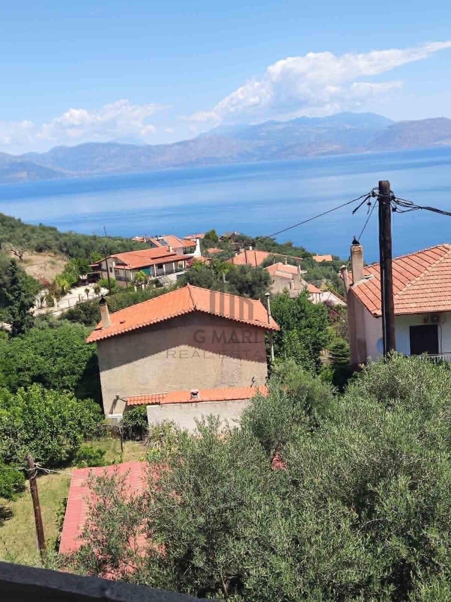 Άνω Πλάτανος 4