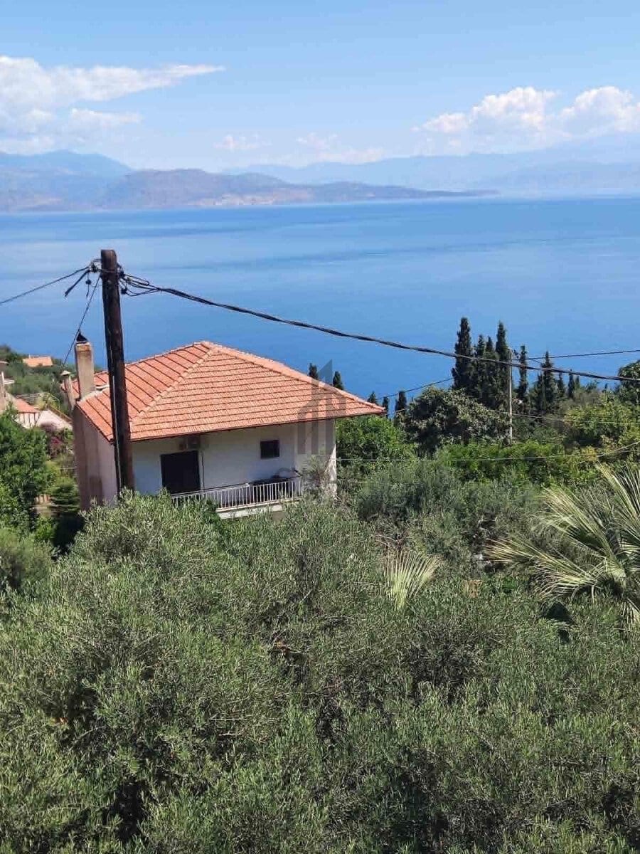 Ανω Πλάτανος 1