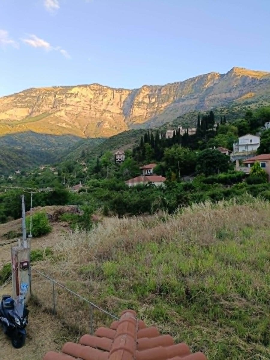 Ζάχολη 19